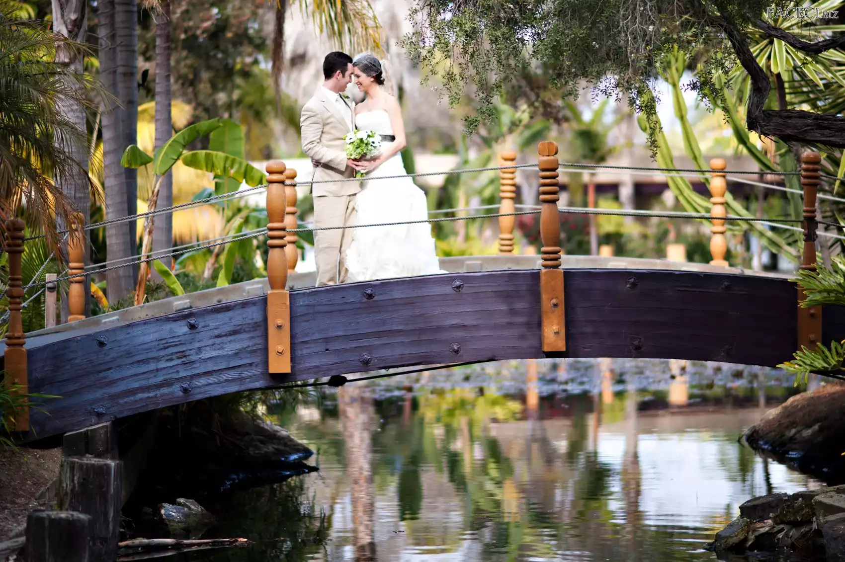 Drzewa, Woda, Młodych, Para, Mostek