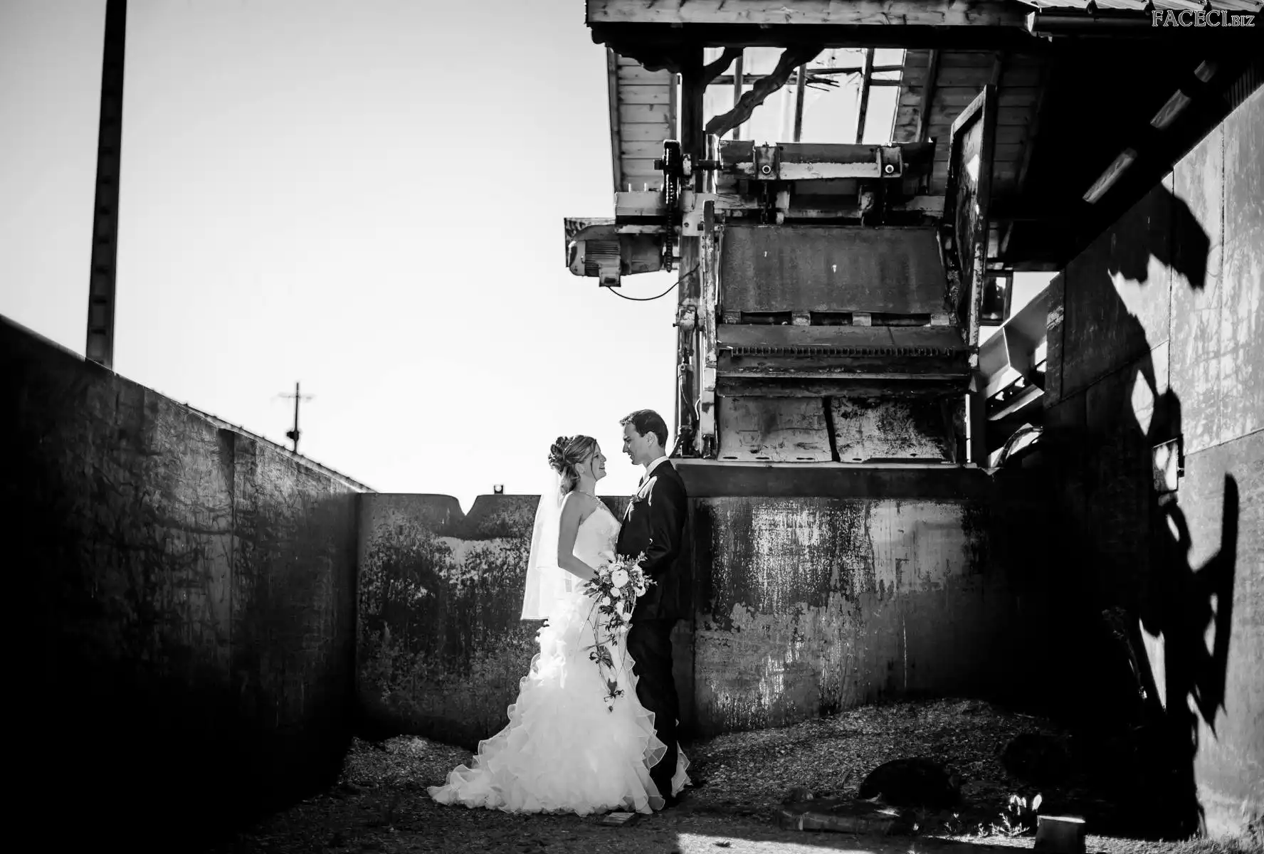 Para, Nasyp, Młoda, Ślub